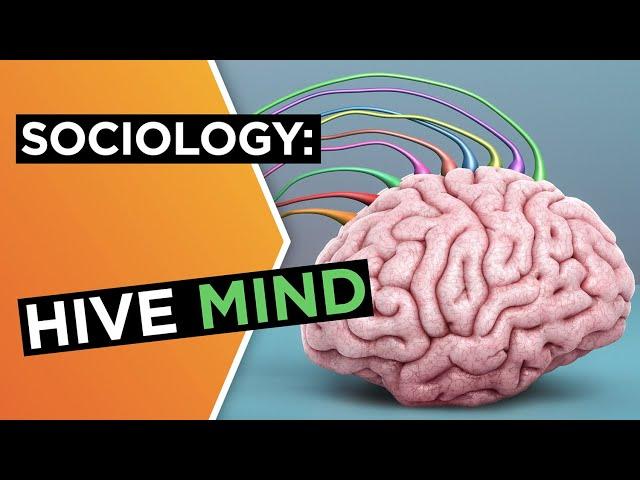 Hive mind: The good, the bad, and the viral | Sarah Rose Cavanagh | Big Think