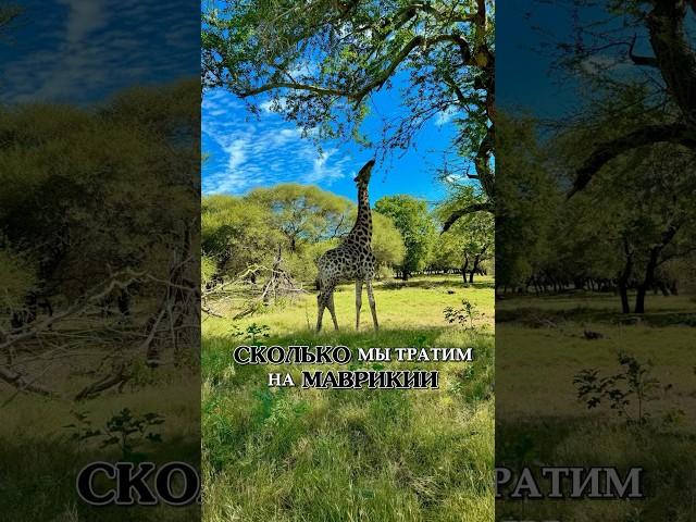 Сколько мы тратим на Маврикии. Стоимость жизни