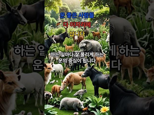 명당엔 이유가 있다?! 복이 몰리는 땅의 비밀