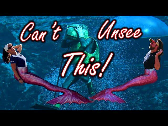 Discover the Secrets of Weeki Wachee State Park! (REAL Mermaids)