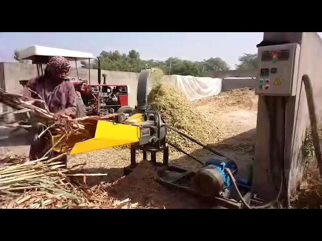 Chaff Cutter || Silage Machine in Pakistan || Brazil Made JF-40 Max