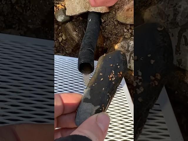 Как мы нашли кучу золота Полный выпуск уже на канале