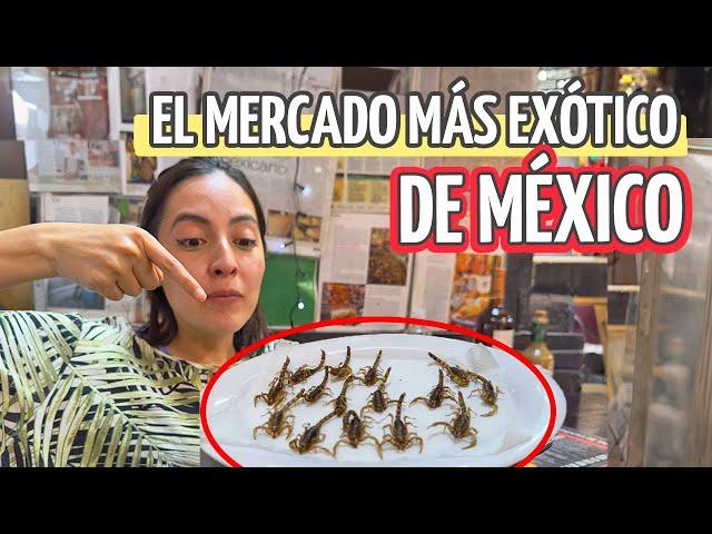 Mercado de San Juan  ¡Carnes Exóticas e Insectos!  - Diana y Aarón (DyA)