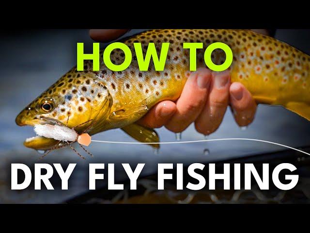 Beginner's Guide to Dry Fly Fishing — 6 Steps to Success! | Module 6, Section 2