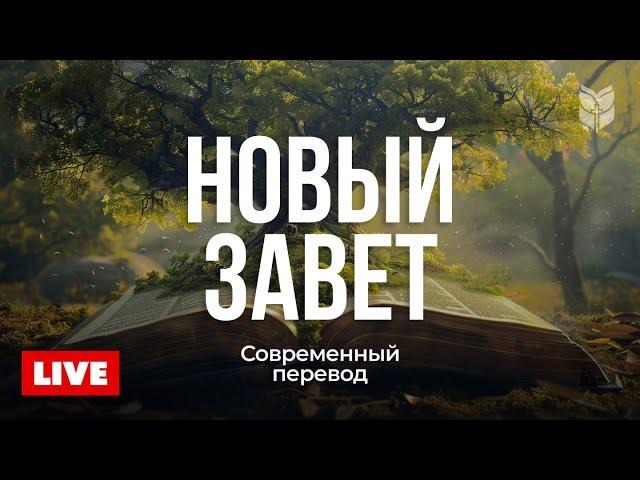  Слушайте Новый Завет каждый день | Библия онлайн 24/7