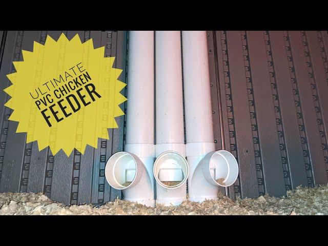 Best PVC Chicken Feeders (Cheep + Easy)