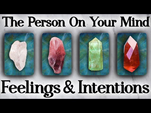 The Person On Your Mind: Their Feelings and Intentions  {PICK A CARD} ️ Timeless Tarot Reading