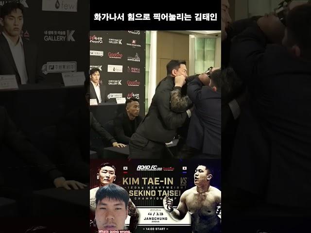 #격투기 #김태인 #브이로그