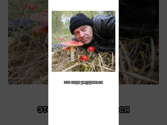 Что будет если съесть МУХОМОР? #биология