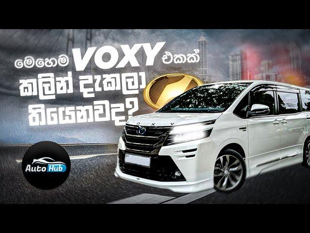 මෙහෙම VOXY එකක් කලින් දැකලා තියෙනවද? | Toyota VOXY Review (Sinhala) | Auto Hub