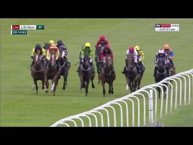 How on earth did this horse win?!