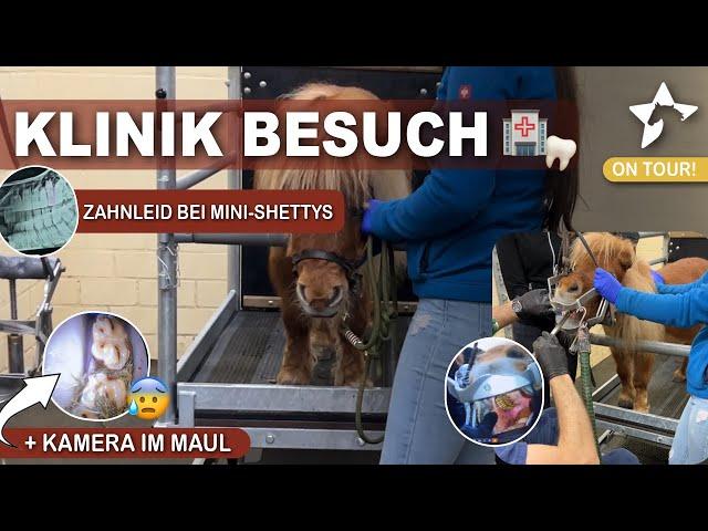 Klinikbesuch | Pony muss auf die Hebebühne 🫣!