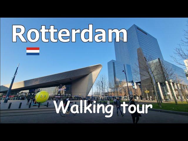 ROTTERDAM, Netherlands: A Visual Walking Tour of the City's Top Sights