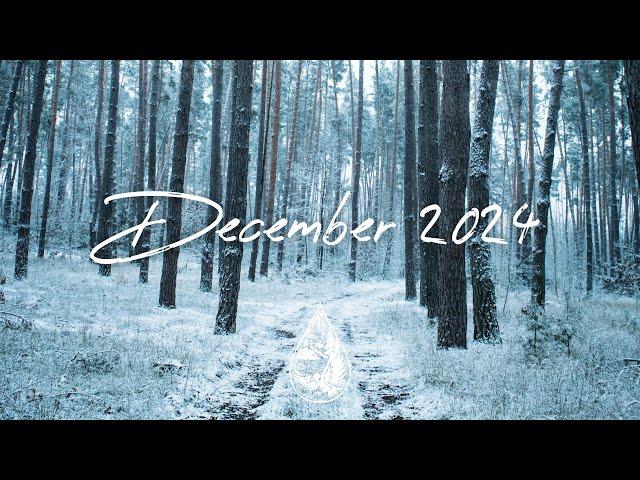 Indie/Pop/Folk Compilation - December 2024 (2½-Hour Playlist)