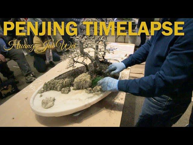 Chinese Penjing One Minute Timelapse