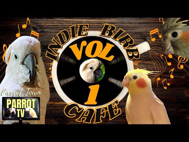 Indie Birb Cafe [Vol. 1]  Indie Alternative Music for Birds | Parrot Music TV for Your Bird Room