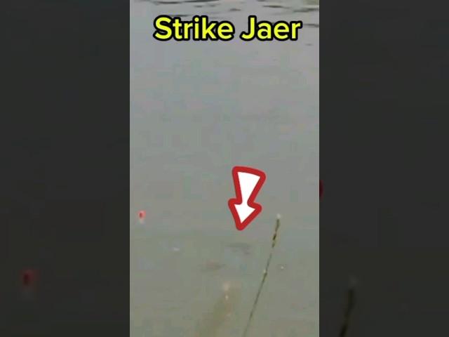 Strike Jaer