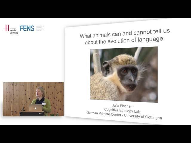 FENS Hertie Winter School 2015: Julia Fischer "What animals can and cannot tell us" PART 1