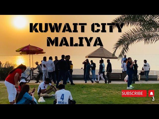 Kuwait City Maliya ! কুয়েত সিটি মালিয়া ! Maliya Sea side! Most Kuwait Expert Gathering place