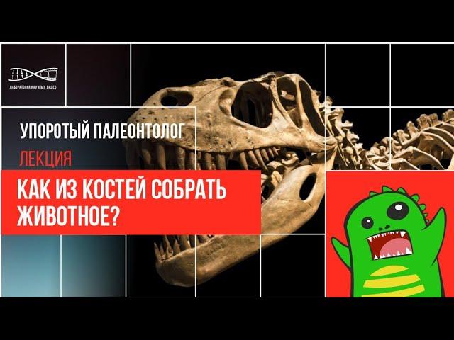 Упоротый Палеонтолог. Как из костей собрать животное?