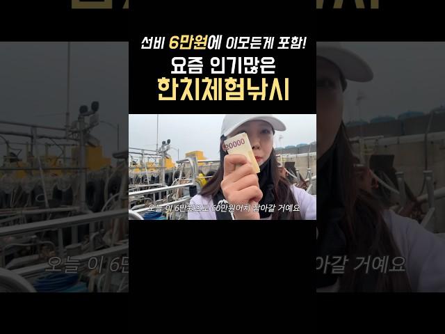 최저가 한치낚시배?! 아직도 이런곳이 있네?