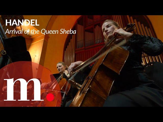 Celebrate the 40 years of Les Violons du Roy with Handel's arrival of the Queen Sheba