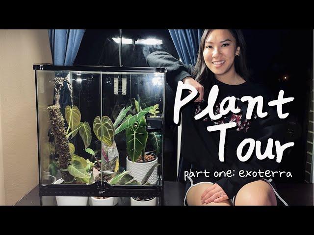 Plant Tour (Part 1: Exoterra)