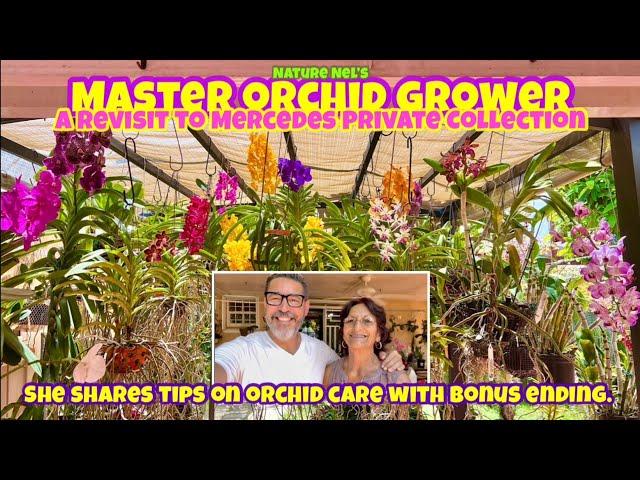 Incredible new blooms from top orchid grower, Mercedes. She shares her growing techniques and care.