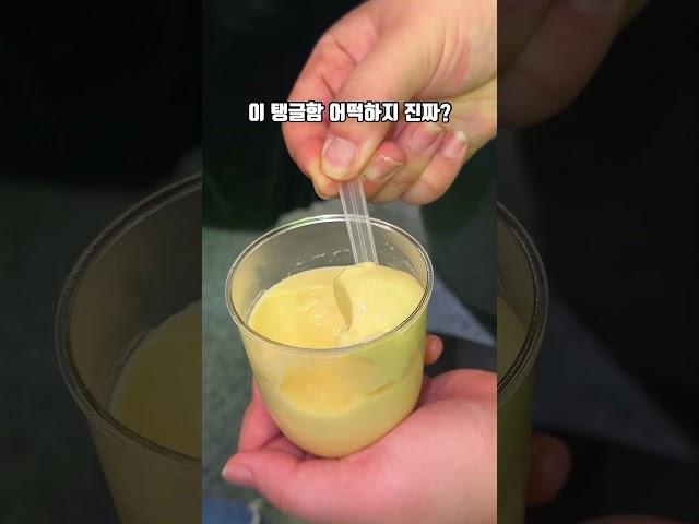 제주공항에 푸딩자판기있음