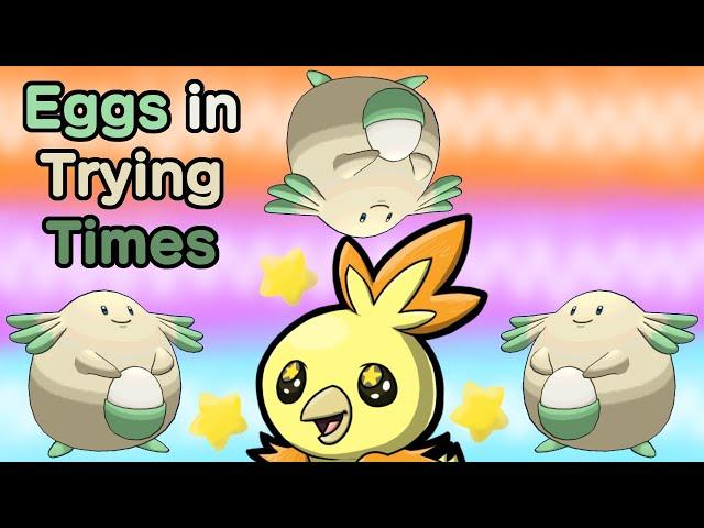 Eggs Over Easy | Shiny Chansey Across Various Switch Games