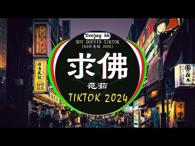 全中文DJ舞曲夜店混音舞曲串烧 2024酒吧最火DJ舞曲 : 范茹 - 求佛 / 卜卦 - 崔子格 / 我的好兄弟 - 高进& 小沈阳 /...Chinese Song Remix 2024