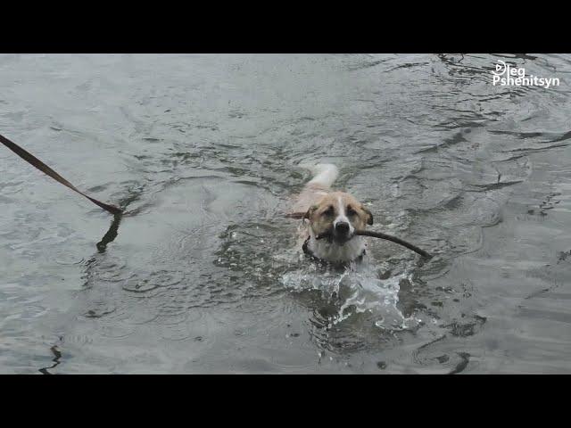 Переходим к водным процедурам!