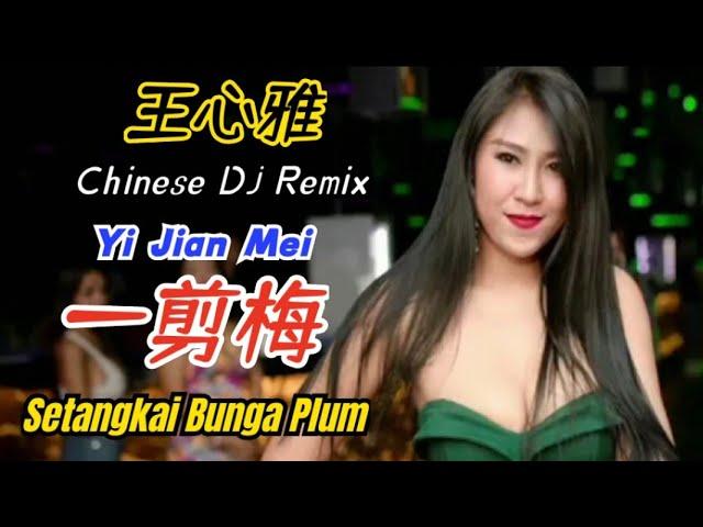 王心雅 - 一剪梅 (最火歌曲DJ Remix) Yi Jian Mei【Setangkai Bunga Plum/A Spray Plum Blossoms】Terjemahan Indonesia