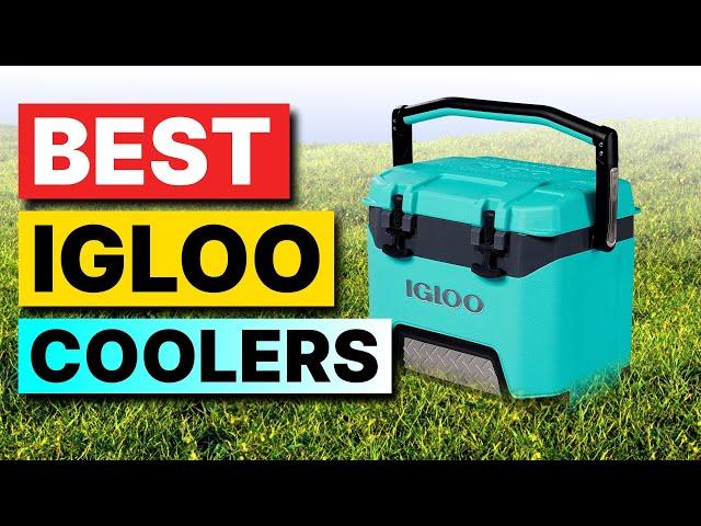 Top 3 Igloo Coolers in 2025