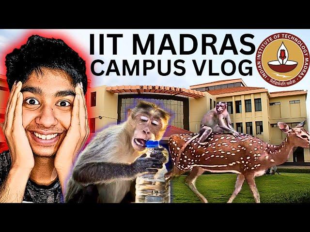 IIT Madras Campus is WILD!! Paradox Fest Vlog! BS Data Science Online Degree