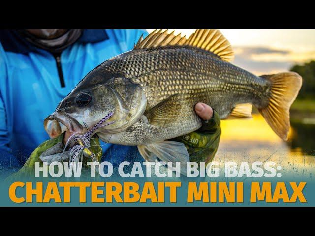 How to Catch Bass - Fishing the ZMan ChatterBait Mini Max for Impoundment Bass