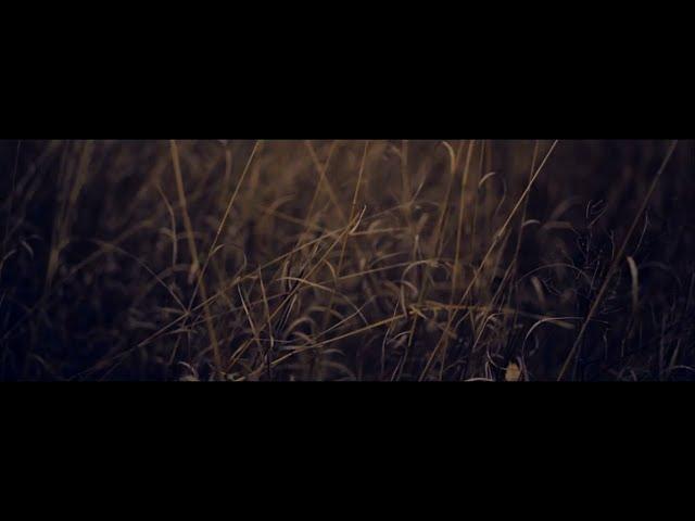 Эймакс - Медленно Тлеет Время [Titanium Records]
