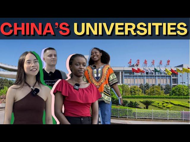 How China's Universities Work