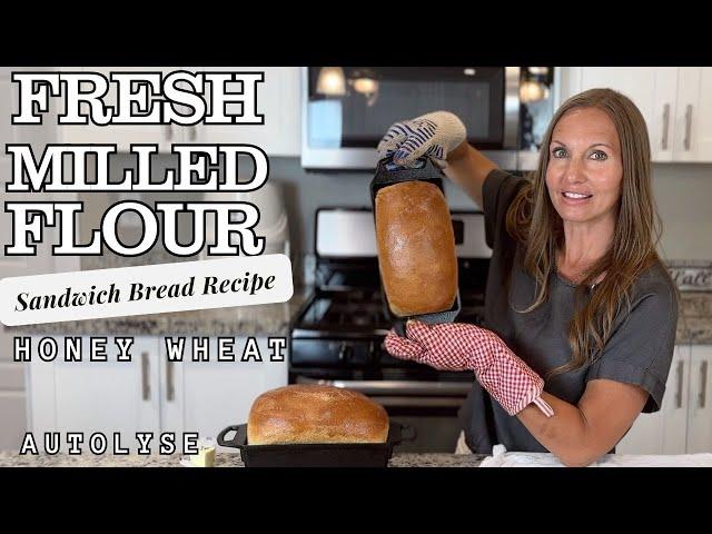 Fresh Milled Flour Sandwich Bread - Soft Honey Whole Wheat Bread Recipe - Autolyze Method