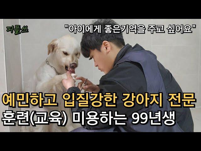 예민하고 입질강한 애견전문, 훈련(교육) 미용하는 99년생 [1부]