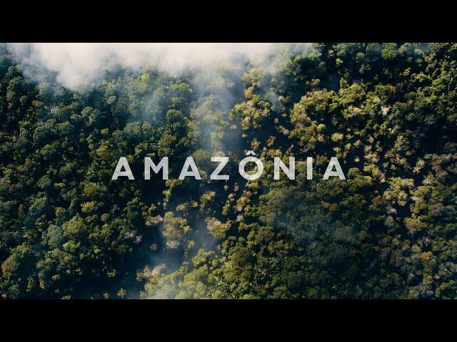 Expedicão Amazônia Teaser - Imersão na Floresta Amazônica - 4k