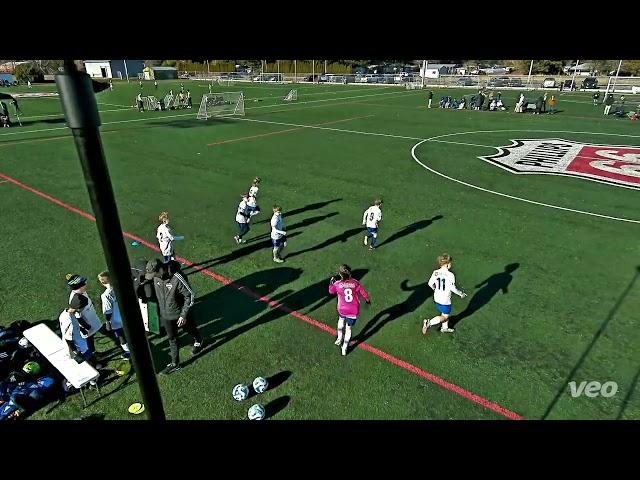 B15G vs XF3