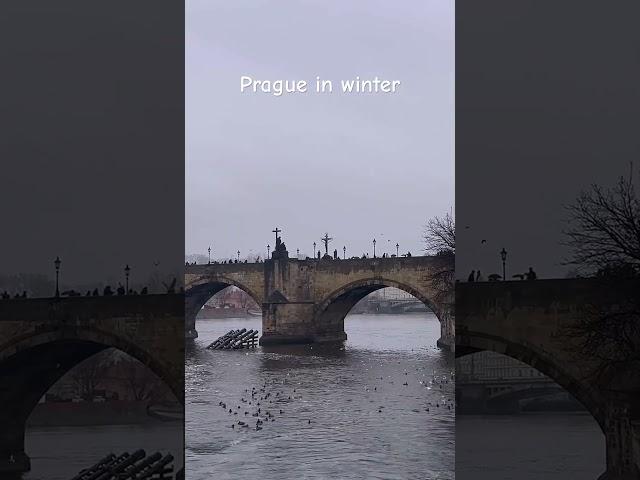 Prague 🫶  #prague #praha #прага #winter #travel #travellife #life #czech #czechrepublic #trip