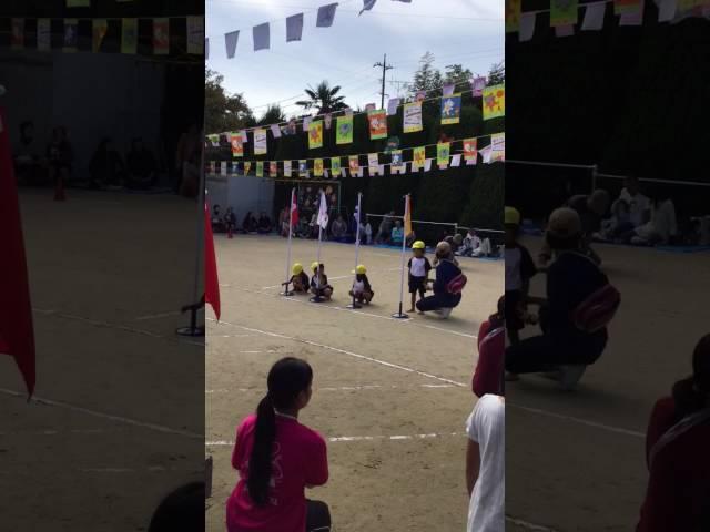 undou kai 2016 @ Asoka Hoikuen Ube city Yamaguchi Prefecture , Japan