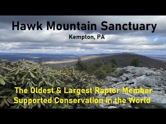 Hawk Mountain Sanctuary PA The Oldest & Largest Raptor Member Supported Conservation in the World