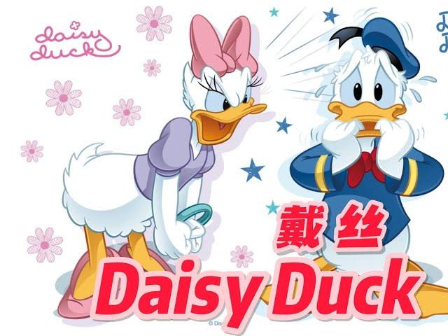 【戴丝】唐老鸭的女友戴丝设计背后的故事 Daisy Duck