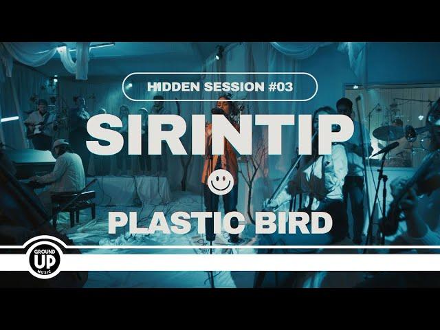 Sirintip - Plastic Bird | HIDDEN SESSION #3