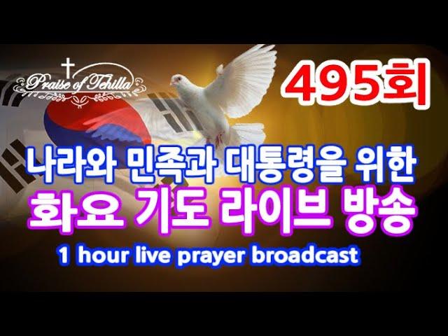 495회-나라와민족과 대통령을위한 화요기도방송 (밤9시30분에 시작합니다)