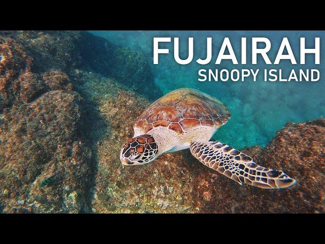 The Hidden Paradise of UAE - Fujairah, Snoopy Island