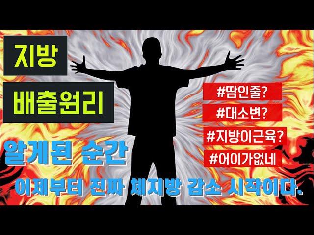 지방이 빠지는 원리를 알아야 지방을 빼지!! 지방축적과 배출 5분 이해.